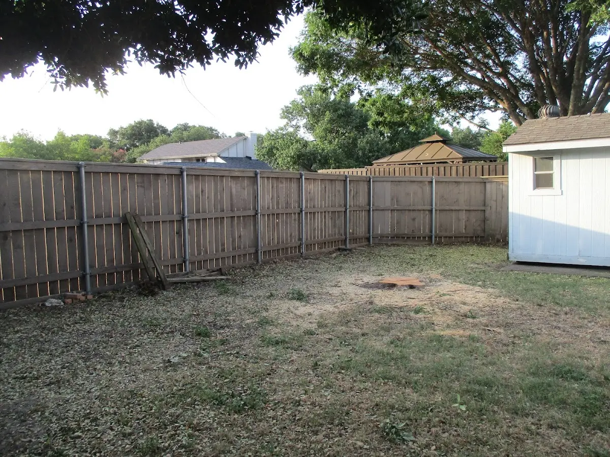 Cleared yard after professional tree removal in Westminster